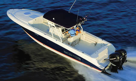 35 Sport Scarab